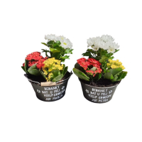 Bloembak Juf/meester